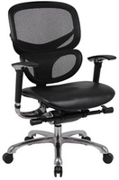 Contemporary, Multifunction Ergonomic Black Mesh Chair w/ Leather Seat, Chrome Frame & Adjustable Lumbar Support & Armrests